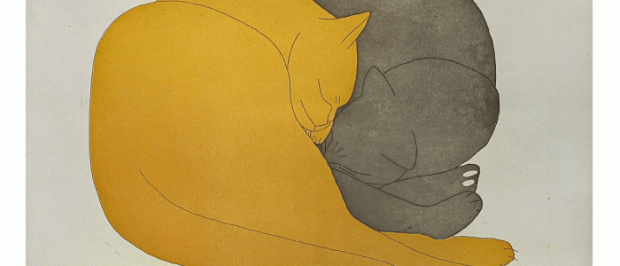 Karte-Katzen-Dumler_1070